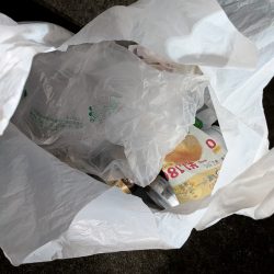 清掃活動：ステイ