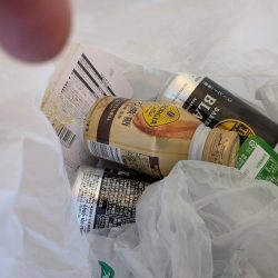 清掃活動：表層ネチネチ