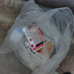 清掃活動：夏のタイラバ