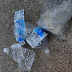 清掃活動：真夏のファミリー船キス