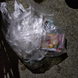 清掃活動：真夏のナイトファミリーフィッシン…