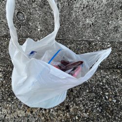 清掃活動：豆アジ回遊中