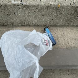 清掃活動：サビキ御三家