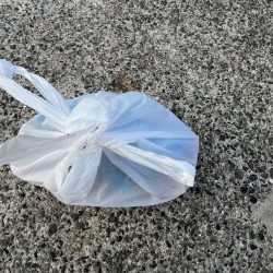 清掃活動：メバルの日