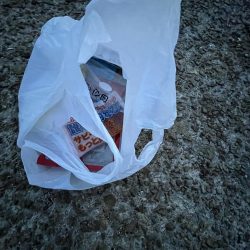 清掃活動：夕涼み