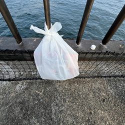 清掃活動：夕涼⓶