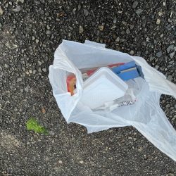 清掃活動：小サバ祭り