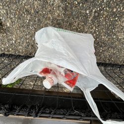 清掃活動：サバの日②