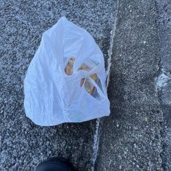 清掃活動：サビキ日和