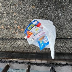 清掃活動：渋い日