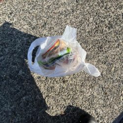 清掃活動：久しぶりイカサマー