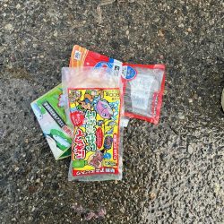 清掃活動：アジ渋いの日