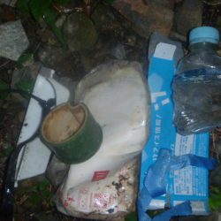 清掃活動：7月のナマズバス