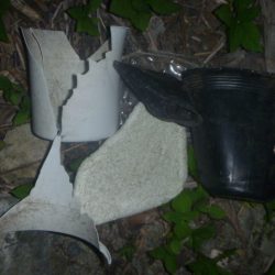 清掃活動：ずんぐりバス