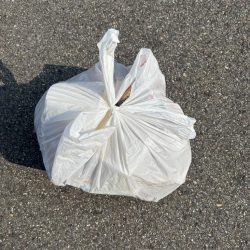 清掃活動：エビ撒き好調です