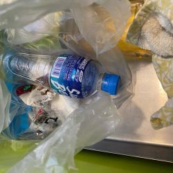 清掃活動：イカメタルリベンジ