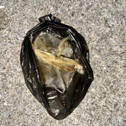 清掃活動：ライトゲーム