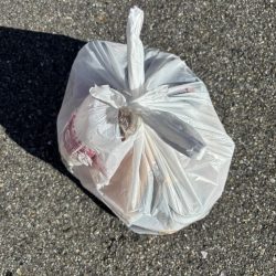 清掃活動：下潮でエビ撒き