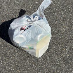 清掃活動：エビ撒きでスズキ釣れました