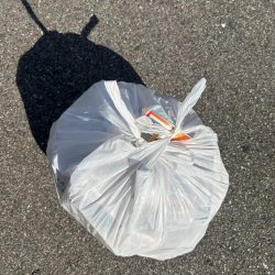 清掃活動：エビ撒きチヌ好調です