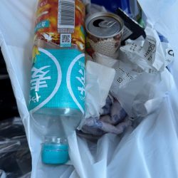 清掃活動：シロギス釣り