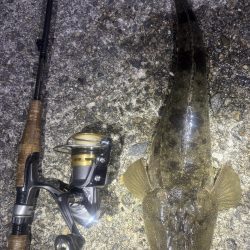 久しぶりの陸っぱり