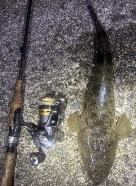 久しぶりの陸っぱり