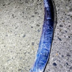 状況が変わってきた