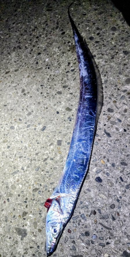 状況が変わってきた