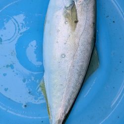 隠岐の島釣行初日