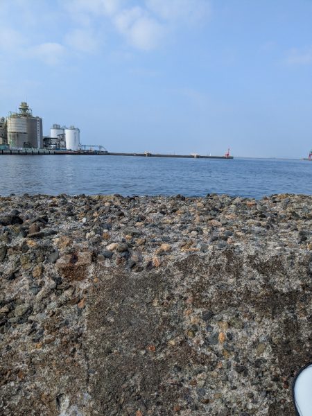 朝活、タコさん、全員安打〜