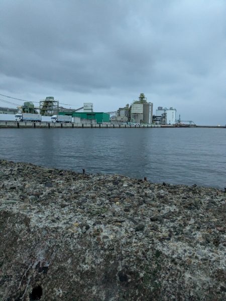 タコさん、ええやん!ええやん!