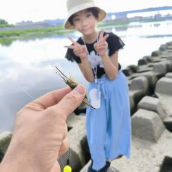 懲りずにテナガエビ