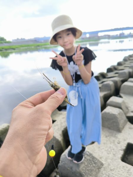 懲りずにテナガエビ