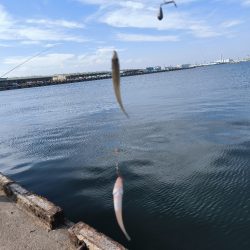 ちょい投げリベンジ