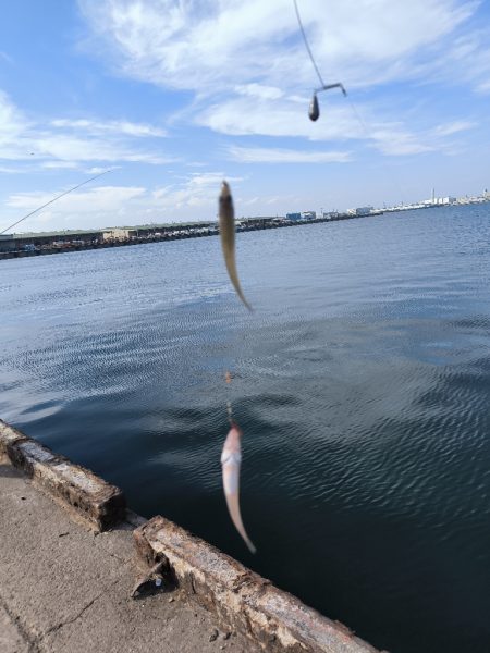 ちょい投げリベンジ