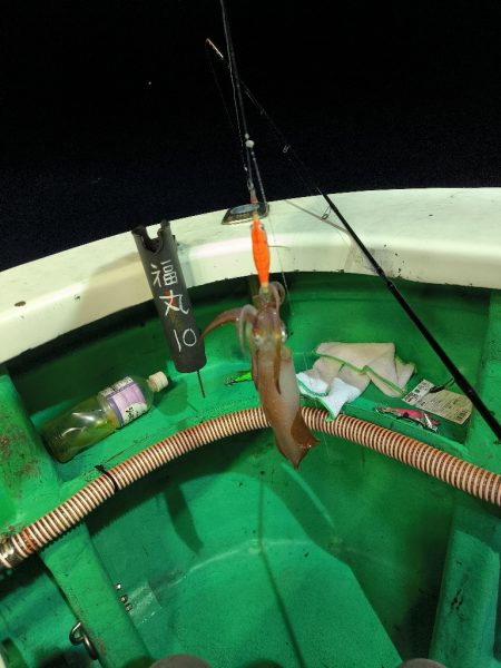 楽しいイカメタル