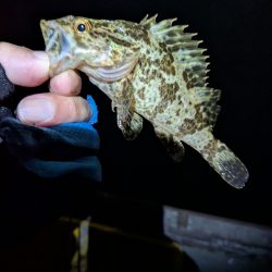 サイズを求めて