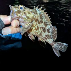 ちょっと涼しい？