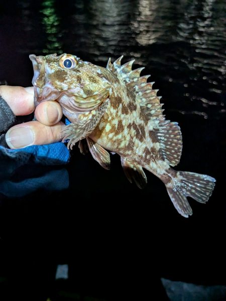 ちょっと涼しい？