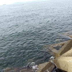 数釣りは難しい