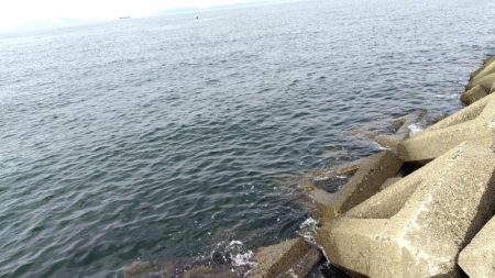 数釣りは難しい