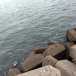 今日は早上がり