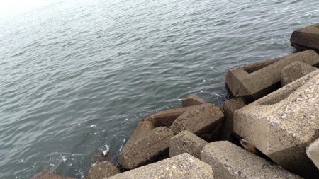 今日は早上がり