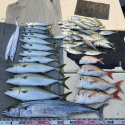 8月6日釣果