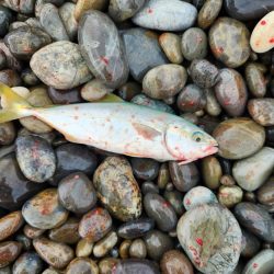 雨の遠征　1日目