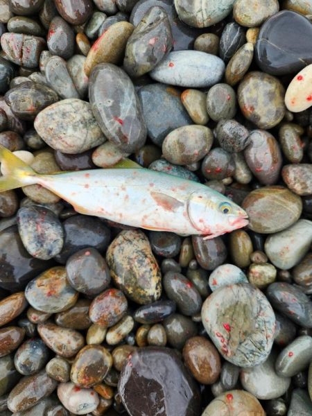 雨の遠征　1日目