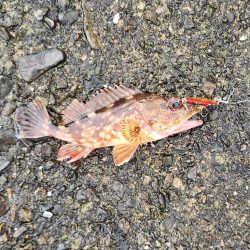 雨の遠征　2日目