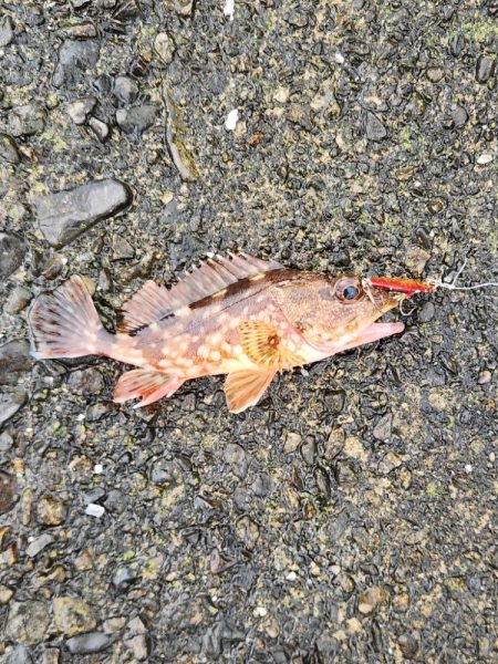 雨の遠征　2日目