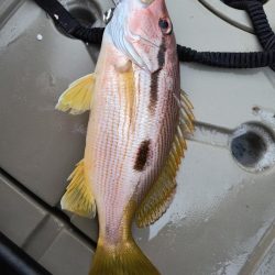 カヤックフィッシングで五目達成